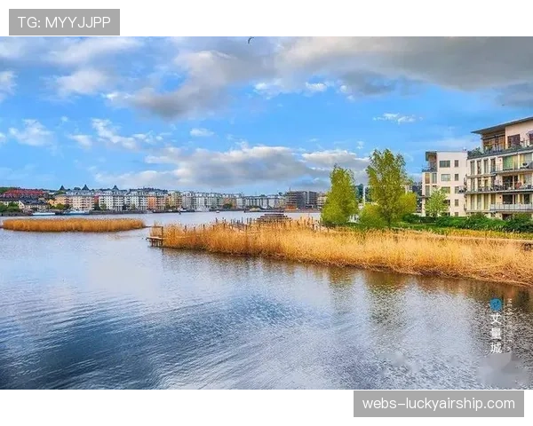 斯德哥尔摩宣布将新建全电动制冷社区冰场，目标碳中和